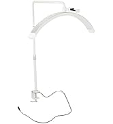 Half Moon Desk Light, 5600K LED Half Moon Lamp Support Touch Control, 360 Degree Rotation, 24.2 I...