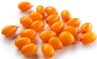 Wild Sea Buckthorn