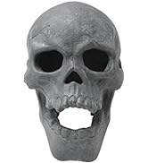 Stanbroil 9-Inch Imitated Human Skull Gas Log for Indoor or Outdoor Fireplaces, Fire Pits Hallowe...