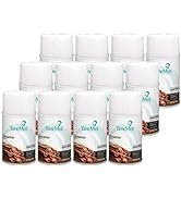 Timemist Cinnamon Metered Aerosol Fragrance Dispenser Refills, 1042746 12/Carton