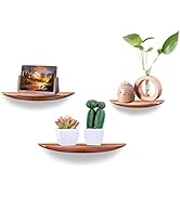 Unique Half Round Wall Floating Shelves Arc Bottom Design, Set of 3, Elegant Display & Organizer ...