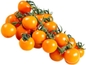 10ct Sungold Hybrid Cherry Tomato