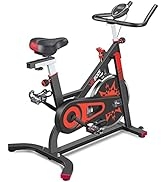 VIGBODY Exercise Bike Indoor Cycling Bicycle Stationary Bikes Cardio Workout Machine Upright Bike...