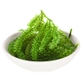 Sea Grapes Salted(盐渍海葡萄）