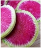 Watermelon Radish - 30 Seeds