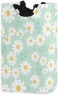 daisy flower field on mint green background