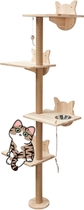 4 Tiers Wall Mounted Cat Tree