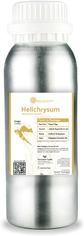 Helichrysum