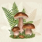 Mushroom Fall