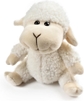 Samll Sitting Position Sheep