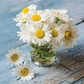 Daisies Posy