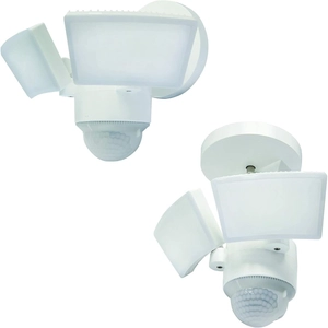 Motion Detectors