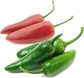 50ct Jalapeno Hot Pepper Seeds