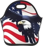 American Flag Fly Eagle2