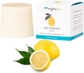 1 Lemon Dishwashing Soap Bar