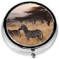 Africa Grassland Zebra