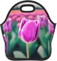 Purple Tulip