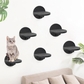 Black-Set of 6