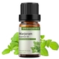 Marjoram