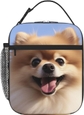 Happy Pomeranian