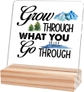 Grow Through What You Go Through