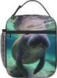 Cute Sea Animal Manatee