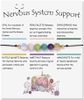 nervous system