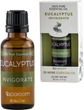 Eucalyptus 30 mL