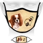 Cavalier King Charles Bleheim