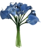 Cornflower Blue