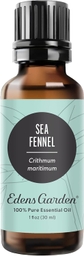 Sea Fennel