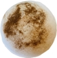 Cinnamon Toast Organic Bath Bomb