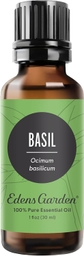 Basil