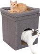 Cat House Grey