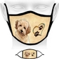 Goldendoodle