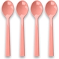 Dessert Spoon Set