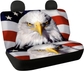 Eagle with US Flag