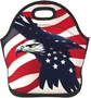 American Flag Fly Eagle1