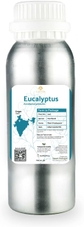 Eucalyptus