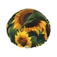 Plants Theme Sunflower