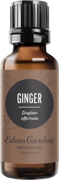 Ginger