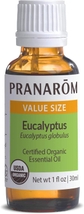 Eucalyptus