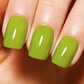 Jelly Green-1