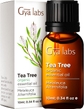 Tea Tree