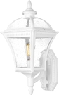 White - Wall Light