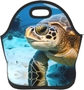 Big Sea Turtle