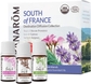 South of France Diffusion Kit