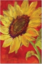 Sunflower Prima Donna