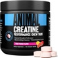 Creatine - Fruit Punch