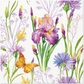 Iris Cornflower